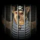 Doginjail