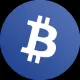 BitMLM Matrix