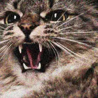 Rebel Cat Logo