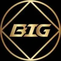 BIG COIN Logo