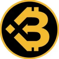 BSC Bitcoin Logo