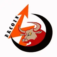Bull Run Coin Logo
