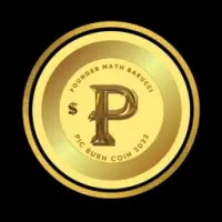 PIC Burn Coin Logo