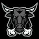 BullMaster