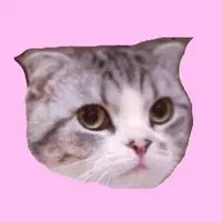 Taylor Swift Cat MEREDITH Logo