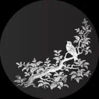 Vive La Bouje Logo