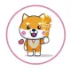 Olympic Doge BSC Game