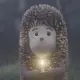 Hedgehog in the fog