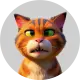 Cat Moggy