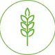 SMART GRAIN COIN
