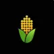 Chaincorn
