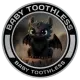 Baby Toothless