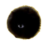 YOUSHAN HOMUNCULUS DOG Logo