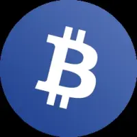BitMLM Matrix Logo