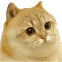 CATGE Logo