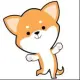 Doge Puppy Coin