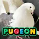 PUMP PIGEON FUN
