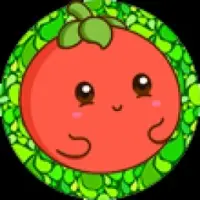 TOMATO TOKEN Logo
