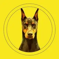 DOBERMAN Logo
