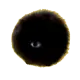 YOUSHAN HOMUNCULUS DOG