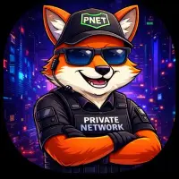 Private Network Logo