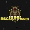 BSCBoar Logo