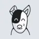 AndieDog