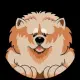 ChowChow Inu