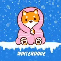 WinterDogeBSC Logo
