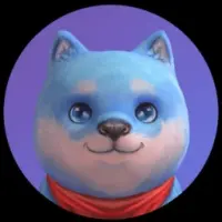 ShiPlay Logo