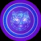 InuBase