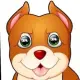 Rapoodog Coin