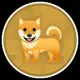 DogeJumbo