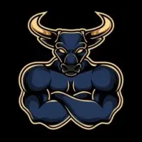 Bull DEX Logo