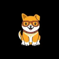 TeenDoge Logo