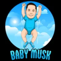 BabyMusk Token Logo