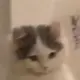 BabyMichi
