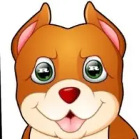 Rapoodog Coin Logo