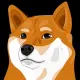 shibetoshi token