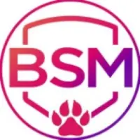 Babay Safemoon Logo