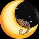 Chameleon Moon Space Logo