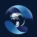 Black Panther Token Logo