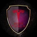 WenTesla Logo