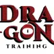 DRAGON TRAINING