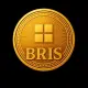 BRIS TOKEN