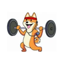 Push Floki Logo