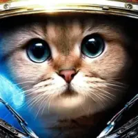 KittElon Logo