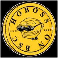 Hobo Secret Stash Logo