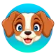 BOBI DOG