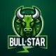 Bull Star Finance